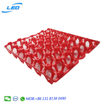 hot selling 30 chicken eggs plastic egg tray